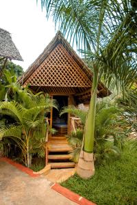 Moshi hostel lodge