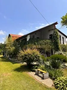 Guest house “Tamari’s” - Grigoleti