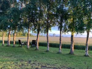 Romantic Luxus Glamping 3