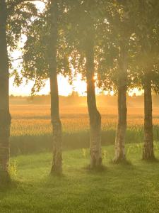 Romantic Luxus Glamping 1