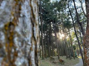 Crosswinds Resort Quadrille Home