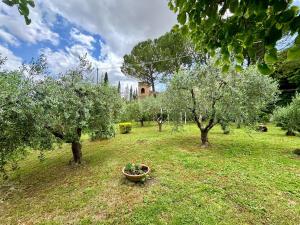 La dimora tra gli elci