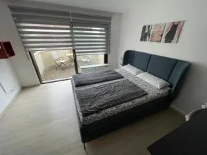 Exklusiv, modernes Apartment mit Balkon - 霍尔茨格尔林根