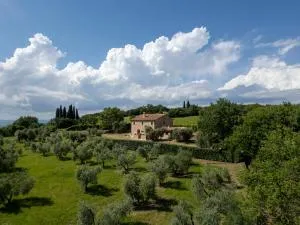 Agriturismo Il Ferralino - Camigliano