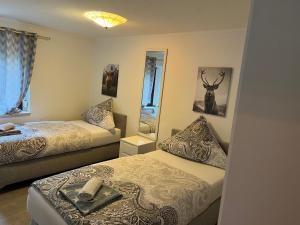 House Messe Just 3 Minutes