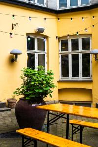 Good Morning City Copenhagen Star