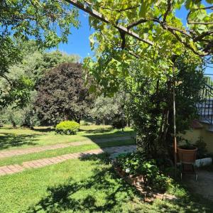 Appartamento Rosa blu