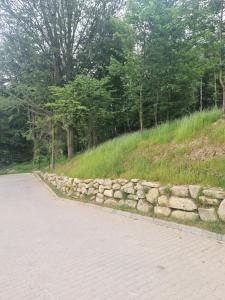 Apartamenty Czarne Owce