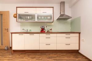 Olive Terrace Apartment Koper