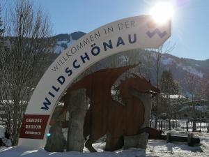 Appartement Talstation Zentral Wildschönau WILD020 by FeWo-Plan