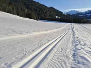 Appartement Talstation Zentral Wildschönau WILD020 by FeWo-Plan