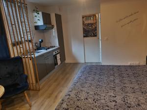 Appartements Sauna & Detente - Suite Privee - Tours - Netflix : photos des chambres