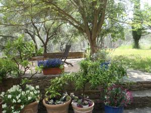 Maison en Provence-Côte dAzur