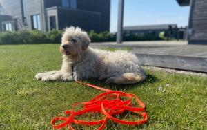 Gud Jard Lodge Nr 12 - Design-Ferienhaus mit exklusiver Ausstattung