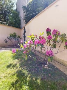 Maisons de vacances charming house located in Coye la Foret : photos des chambres