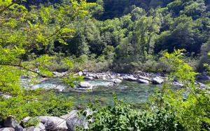 Camping Piccolo Paradiso