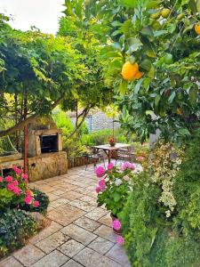 Apartments Cvita 