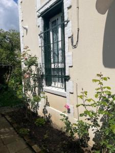 Appartements Charmant T2 bucolique : Appartement 1 Chambre
