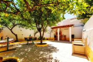 Graça Garden Apartment