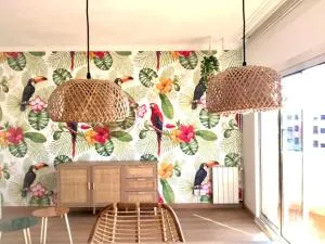 Tucan tropical - San Felíu del Racó