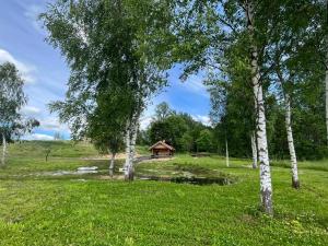 Restu Forest Saunahouse