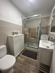 Appartements Appartement en ville avec place de parking et wifi : photos des chambres