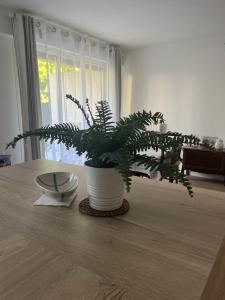 Appartements Appartement en ville avec place de parking et wifi : photos des chambres