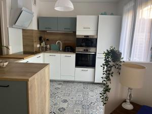 Appartements Appartement en ville avec place de parking et wifi : photos des chambres