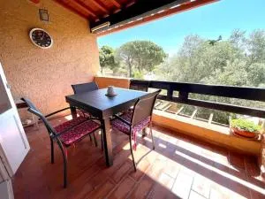 Apt familial-4pers-piscine-wifi - 萨勒斯勒沙托