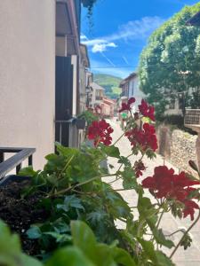 Apartamentos Ubaga - 3hvězdičkové hotely ve městě Ezcaray