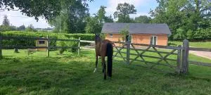 Gite clos masure de Blevillot - 伊普瑞桃特