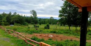 Agroturystyka Zielony Domek - Apartament na wyłączność, slow life, staw, oswojone zwierzęta gospodarskie, posiłki z własnych eko produktów