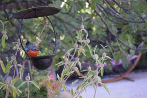 Maison provençale de charme