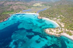 Maisons de vacances Plage de Furnellu location pieds dans l-eau : photos des chambres