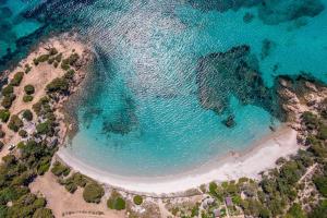 Maisons de vacances Plage de Furnellu location pieds dans l-eau : photos des chambres