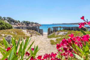 Maisons de vacances Plage de Furnellu location pieds dans l-eau : photos des chambres