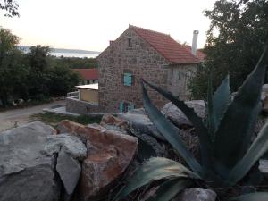 Martin house 