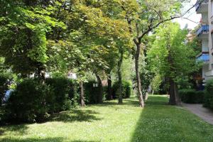 Apartment close to Sziget festival