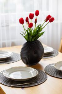 Słoneczny Apartament z Parkingiem by Noclegi Renters