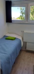 Sunny Uno apartment 1 floor