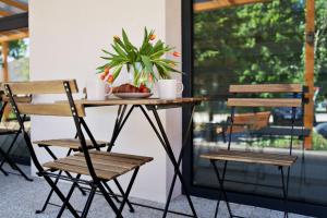 Nadwiślańska Apartments - Lipowa, 11km od Zator, Energylandia