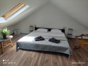 Apartman Nata 