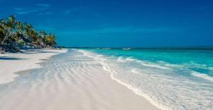 Spacious Dream Bungalows