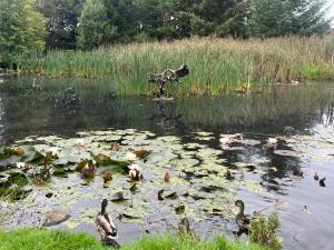 Galloway Forest Holiday Park