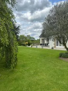 Les Tulipes - Vieux-Vy-sur-Couesnon