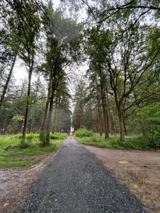 Maisons de vacances Gite de la foret de Longuenee : photos des chambres