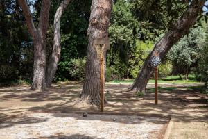 Maisons de vacances Mas du Chemin de la Mer : photos des chambres