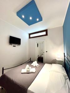 Civico 8 Alexander img27