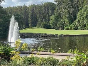 GolfView Executive Suite Near Tampa - 泽弗希尔斯