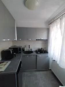 Romana Arad - 伊内乌